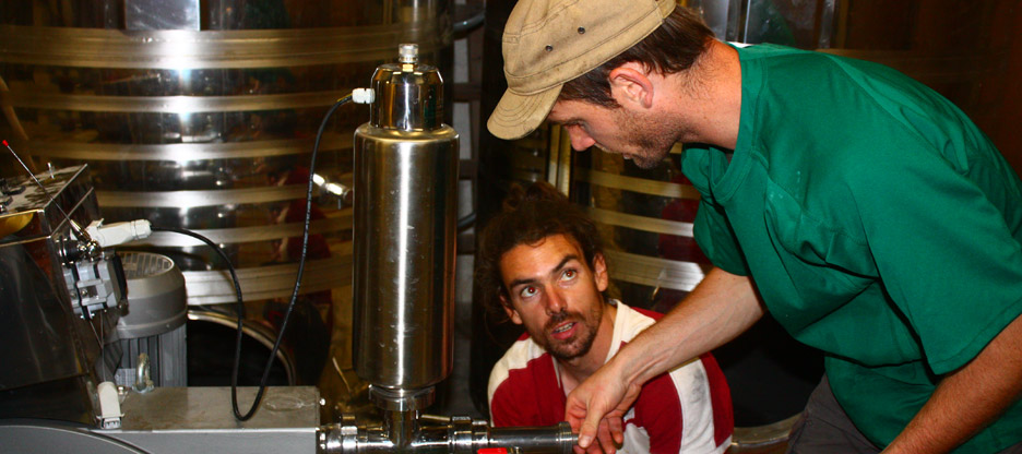 Vinification