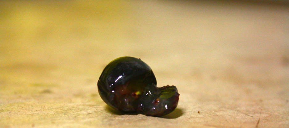 Vinification