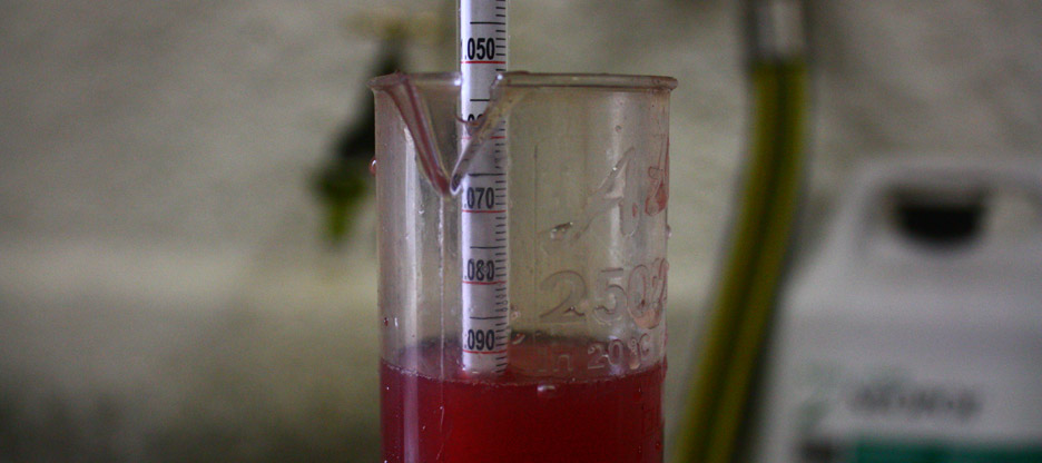 La vinification