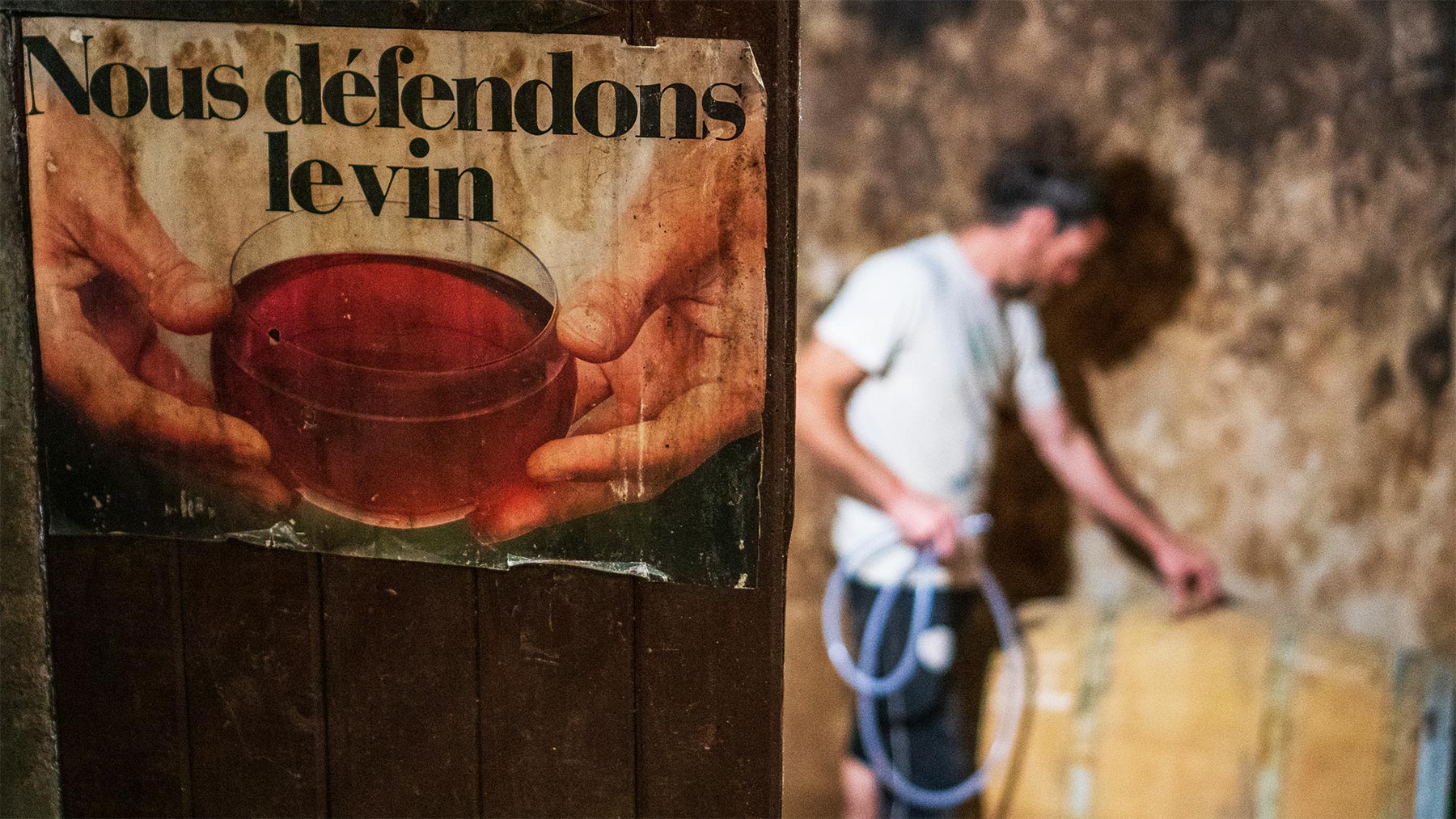cave domaine amiel freres