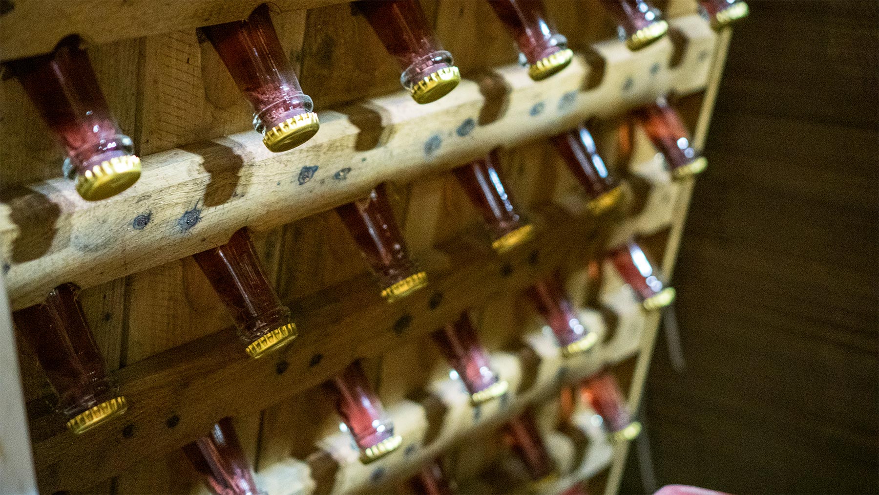 elevage domaine amiel freres