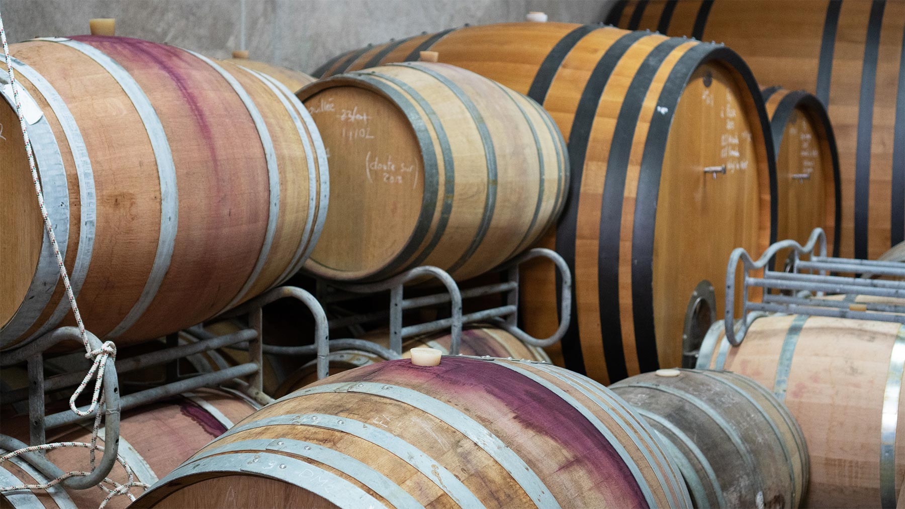 elevage tonneau vin domaine amiel freres